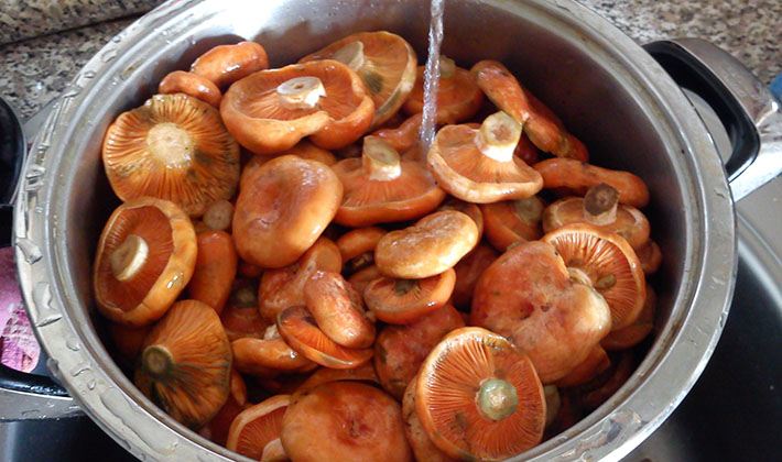 Vinegar