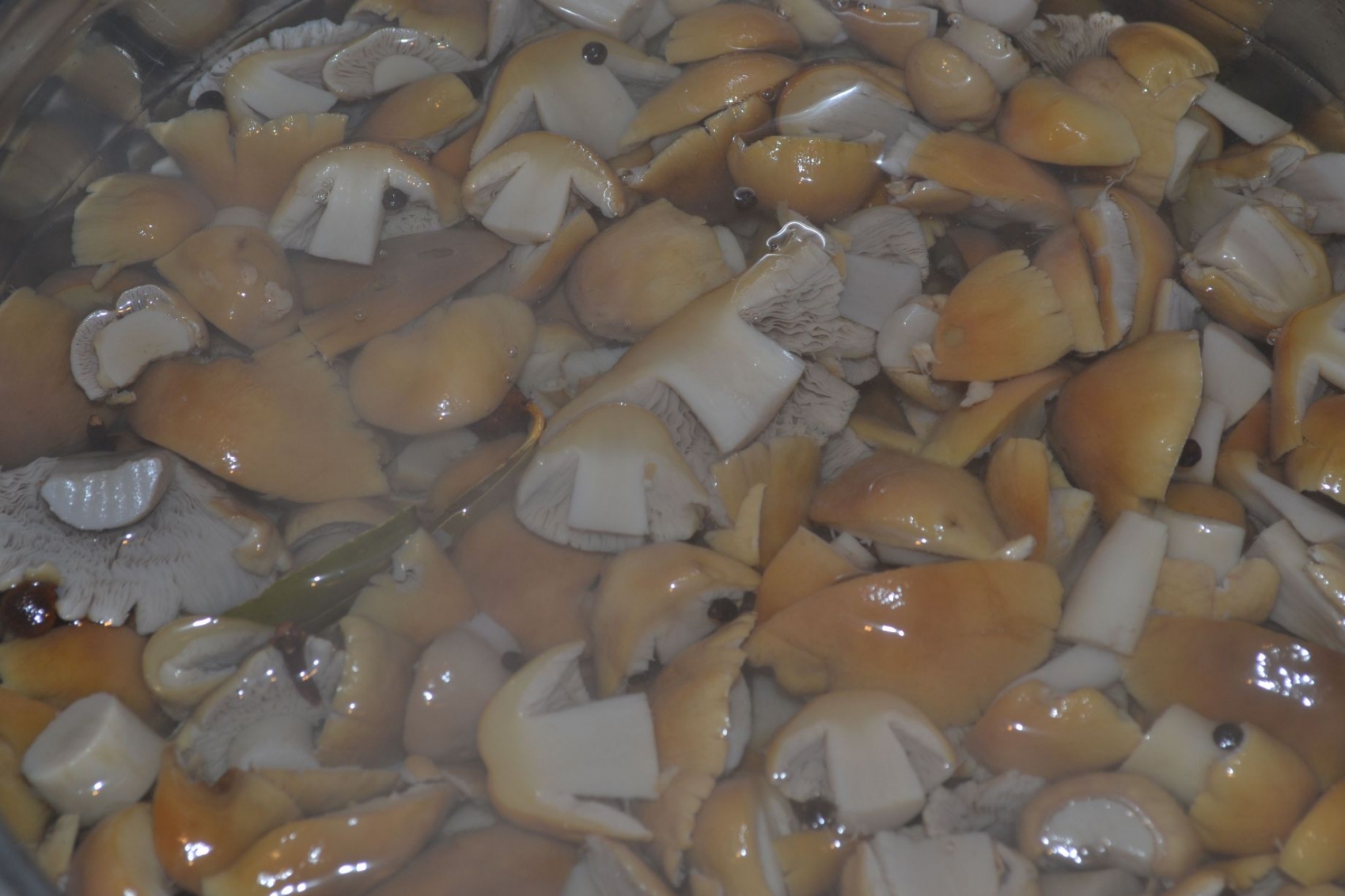 Pickled bogs