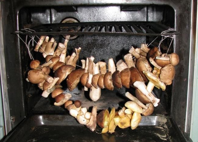 Drying mushrooms on a string