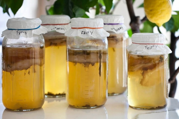 Mushroom infusion