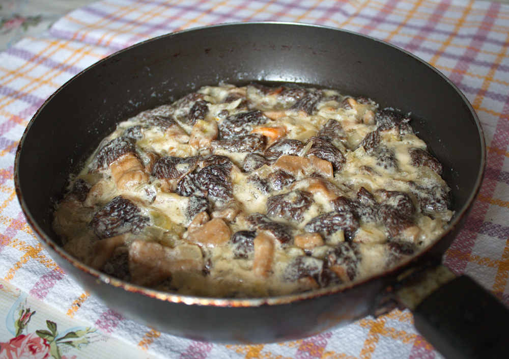 Morels fried in sour cream with onions