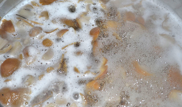 Citations with citric acid and salt