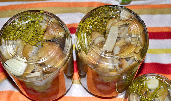 Pickled Riddles