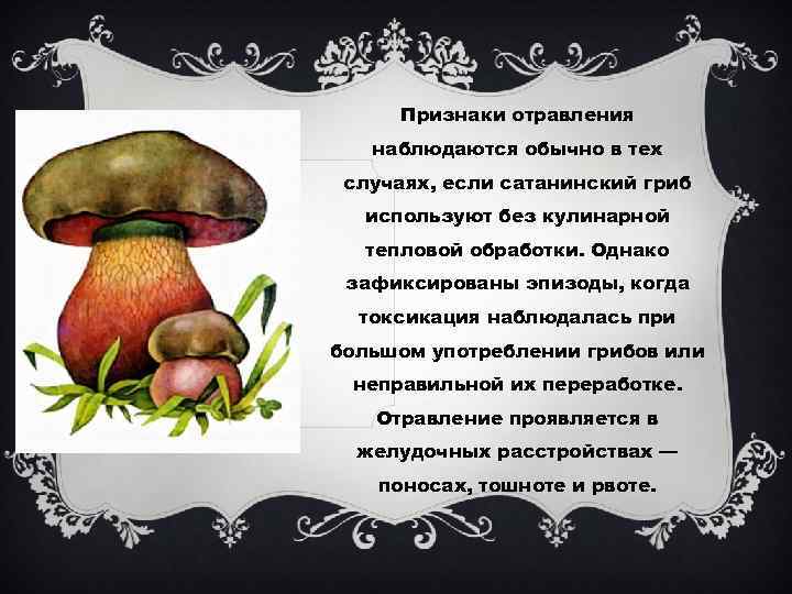 Signs of satanic mushroom poisoning