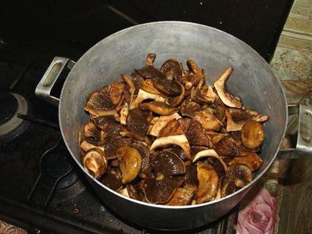 Cooking preparation