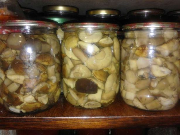 Marinated mushrooms