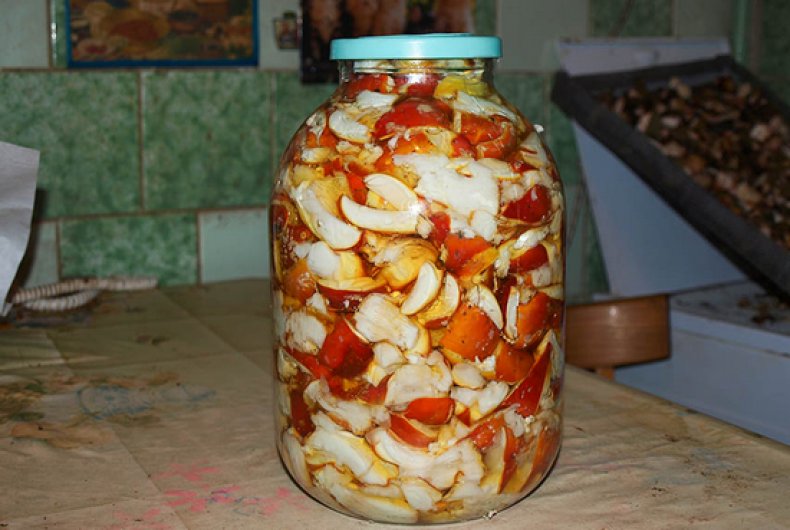 Mushroom tincture