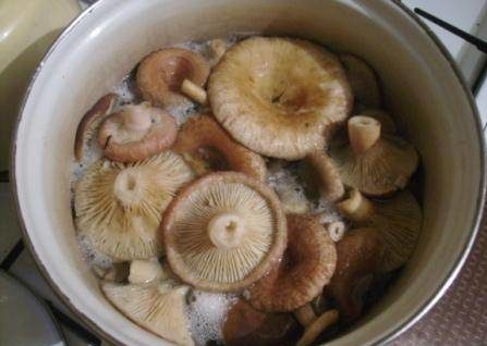 Salting in a pan