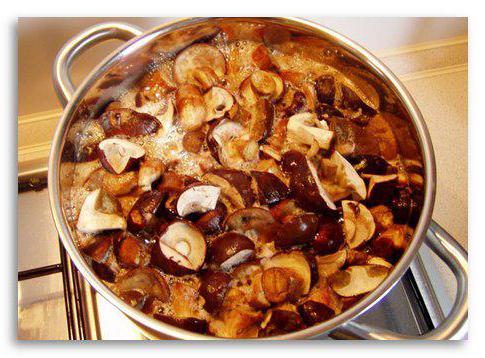 Mushroom cooking