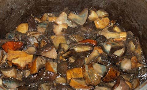 Fried mushrooms