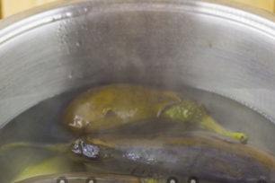 boil eggplant
