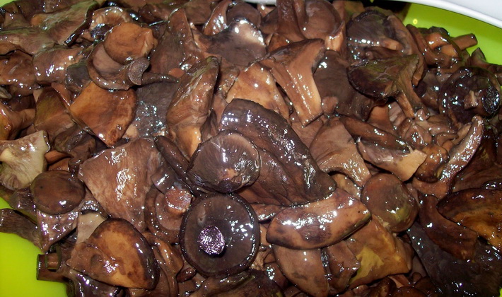 Frying pigs