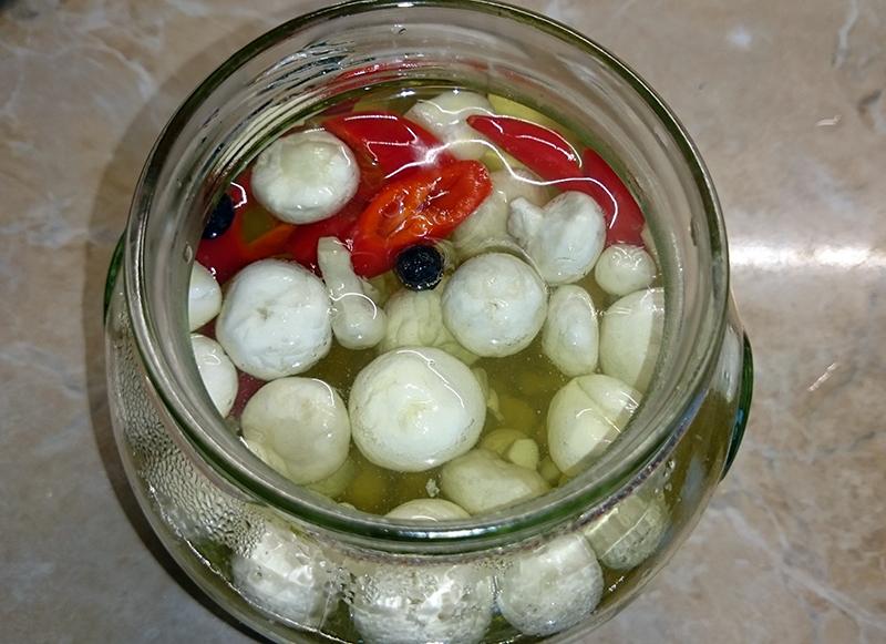 Raincoats pickled