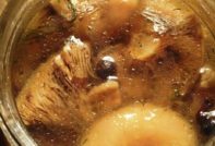 Marinirane gljive