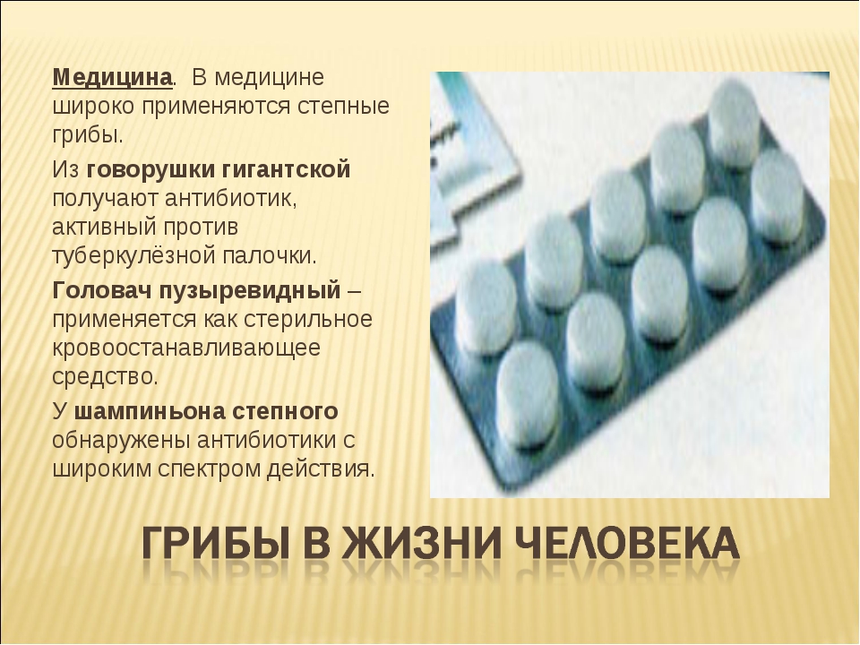 The use of mushrooms in medicine