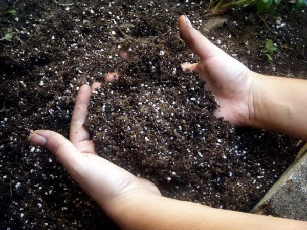 liming of soil