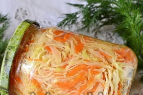 kako fermentirati kupus za zimu