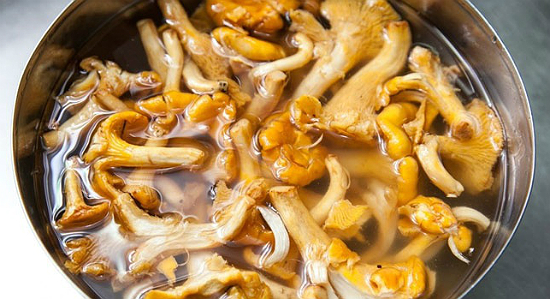 Boiled chanterelles