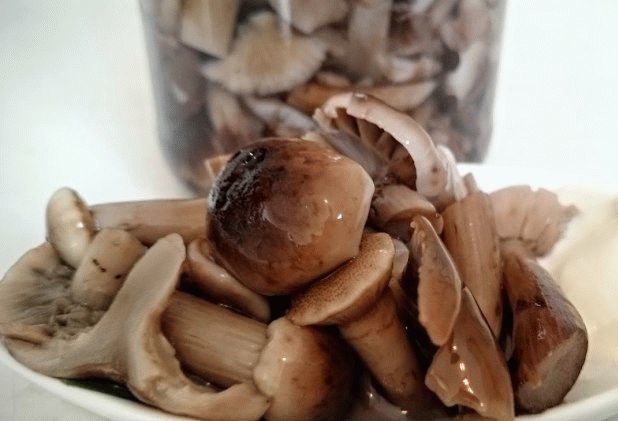 Pickled Riddles