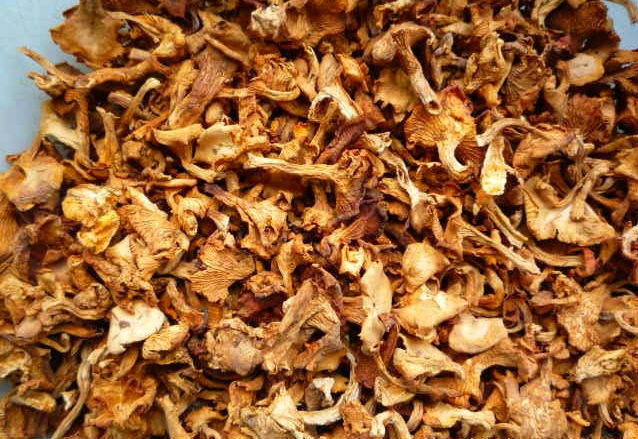 Dried chanterelles
