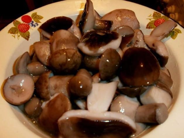 Kiseli bolet