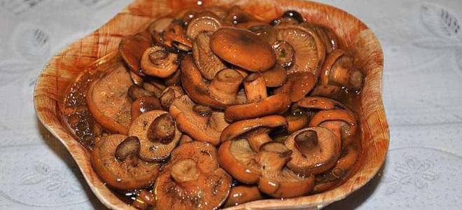 Mushrooms without cooking