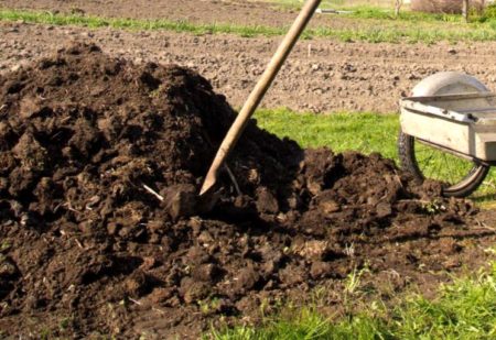 Organic Autumn Fertilizers