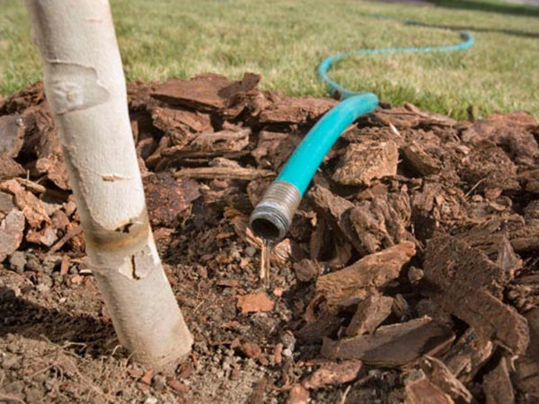 water-loading irrigation