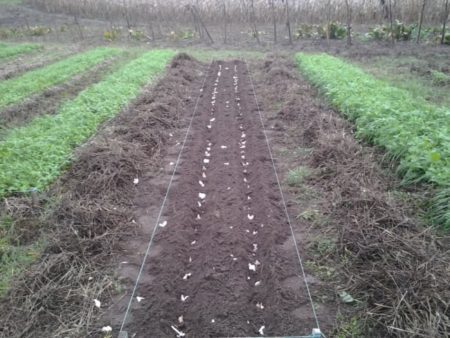 Soil preparation