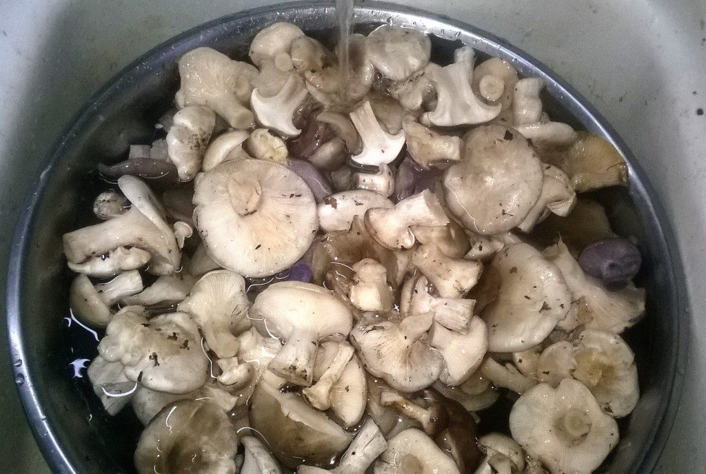 Mushroom washing