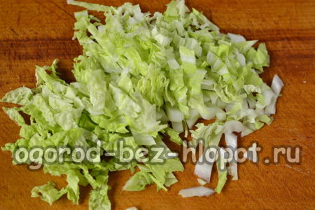 Chinese cabbage