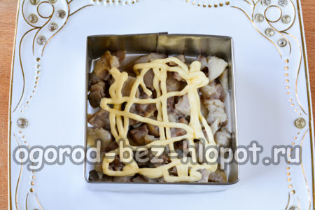 layer of onion and herring