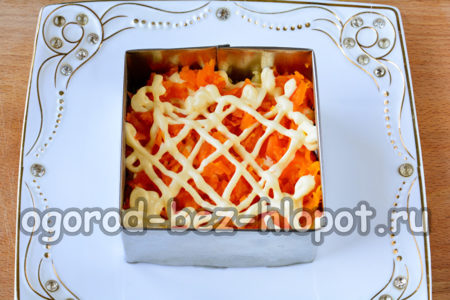 carrot layer