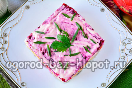salad ready