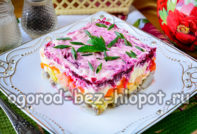 haringa ispod krznenog kaputa