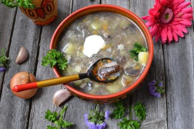 Boletus soup