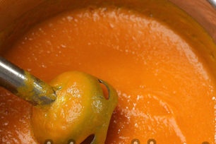 grind in a puree blender