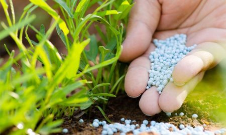 Autumn fertilizer