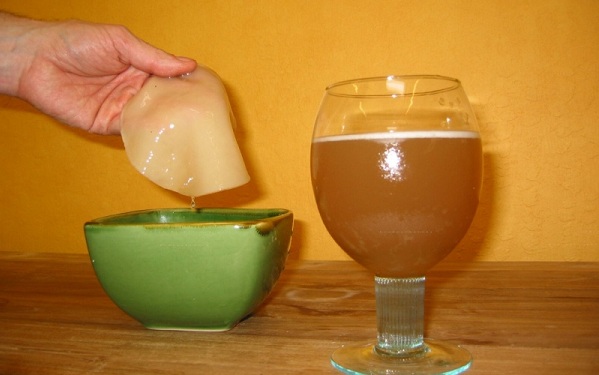 Mushroom and drink