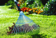 Lawn Care