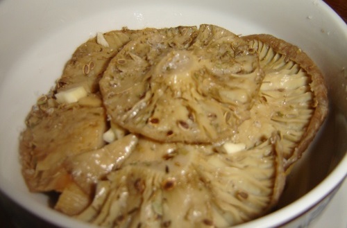 Pickled Greenfinchs