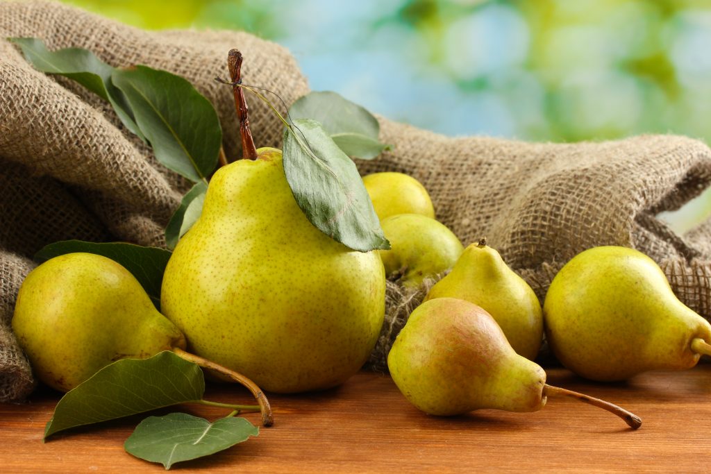 Winter pear varieties