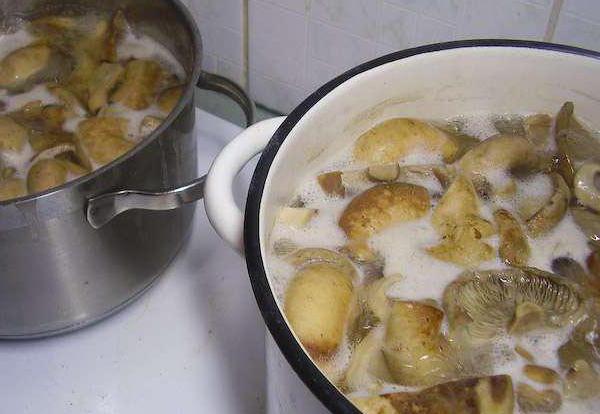 Mushroom preparation