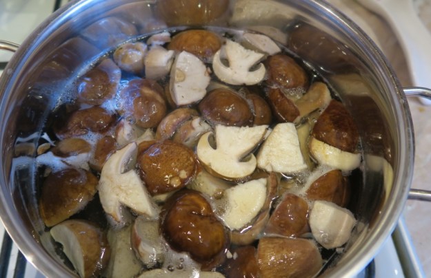 Mushroom cooking