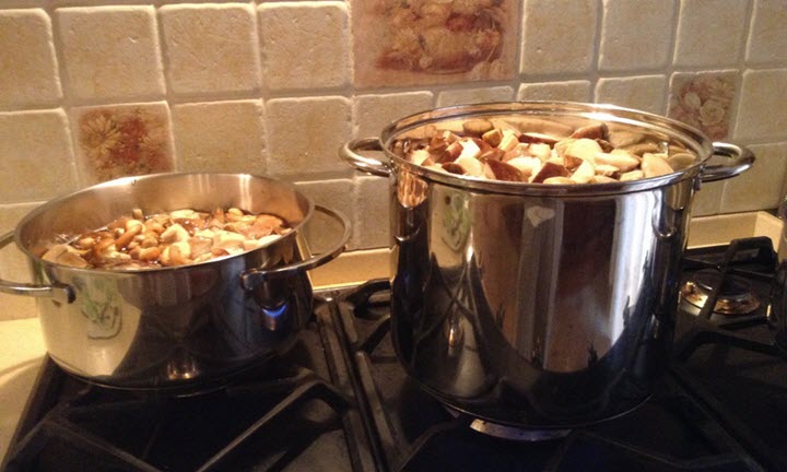 Mushroom cooking process