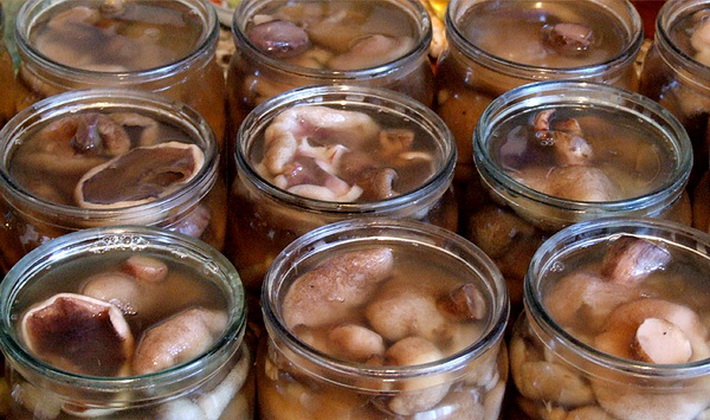 Fill with broth