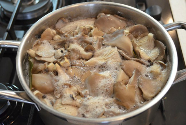 Oyster mushrooms for pickling