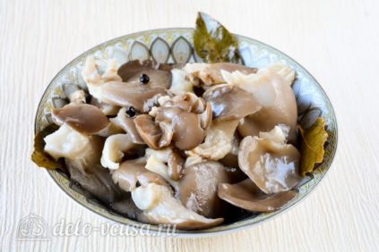 Oyster mushrooms