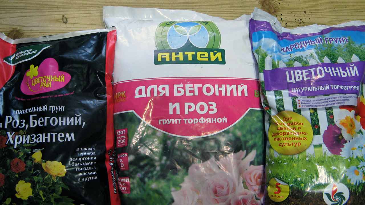 Tlo za sobne biljke
