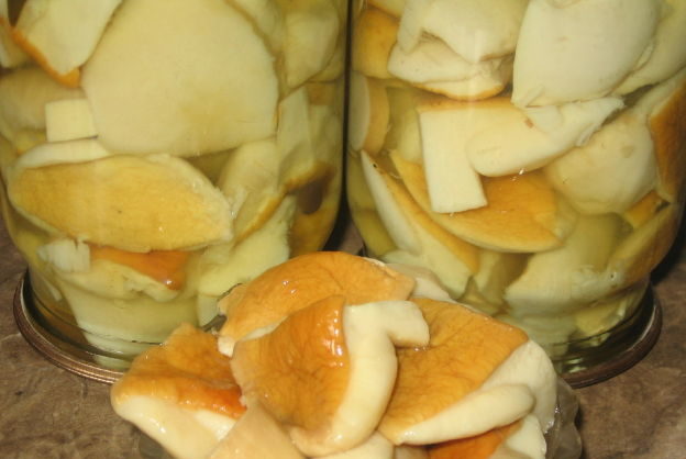 Ready Mushrooms